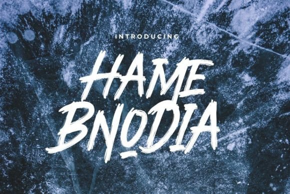 Hame Bnodia Display Font for Modern Web Design
