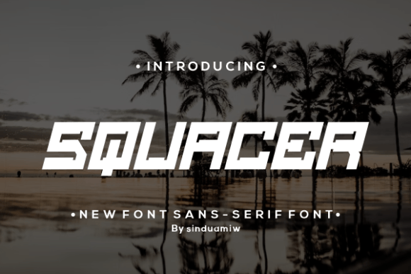Squacer Display Font for Web Design